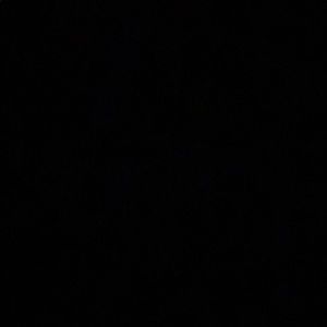 8 inch squishmallow pug